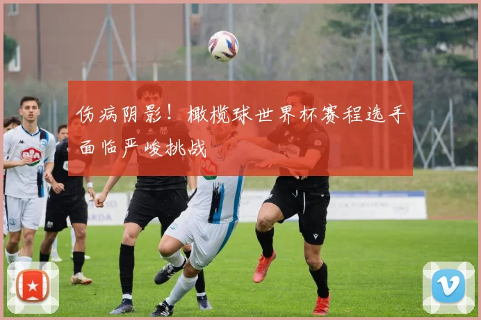 伤病阴影！橄榄球世界杯赛程选手面临严峻挑战